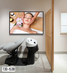 TRANH TREO TƯỜNG KHUNG HỢP KIM - TRANH SPA - MÃ T3D-1538