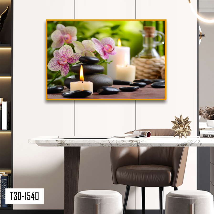 TRANH TREO TƯỜNG KHUNG HỢP KIM - TRANH SPA - MÃ T3D-1540