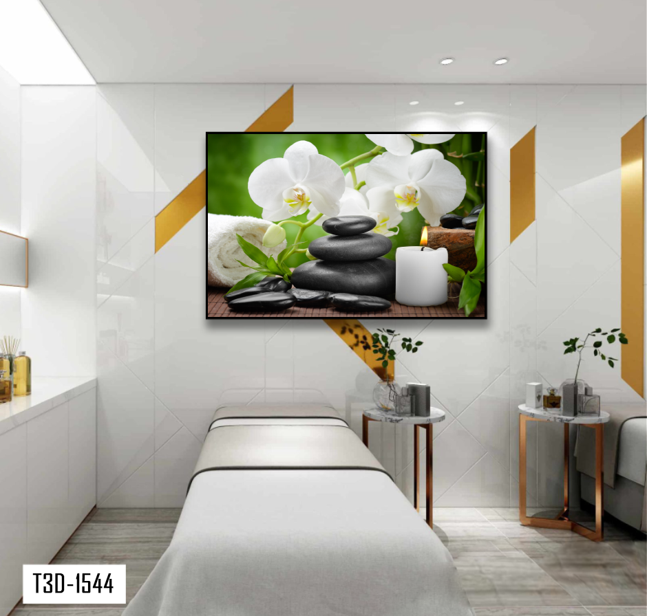 TRANH TREO TƯỜNG KHUNG HỢP KIM - TRANH SPA - MÃ T3D-1544