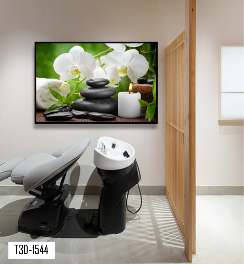TRANH TREO TƯỜNG KHUNG HỢP KIM - TRANH SPA - MÃ T3D-1544