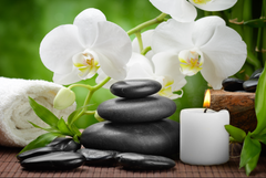 TRANH TREO TƯỜNG KHUNG HỢP KIM - TRANH SPA - MÃ T3D-1544