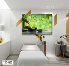 TRANH TREO TƯỜNG KHUNG HỢP KIM - TRANH SPA - MÃ T3D-1553