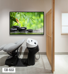 TRANH TREO TƯỜNG KHUNG HỢP KIM - TRANH SPA - MÃ T3D-1553