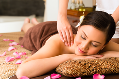 TRANH TREO TƯỜNG KHUNG HỢP KIM - TRANH SPA - MÃ T3D-1556