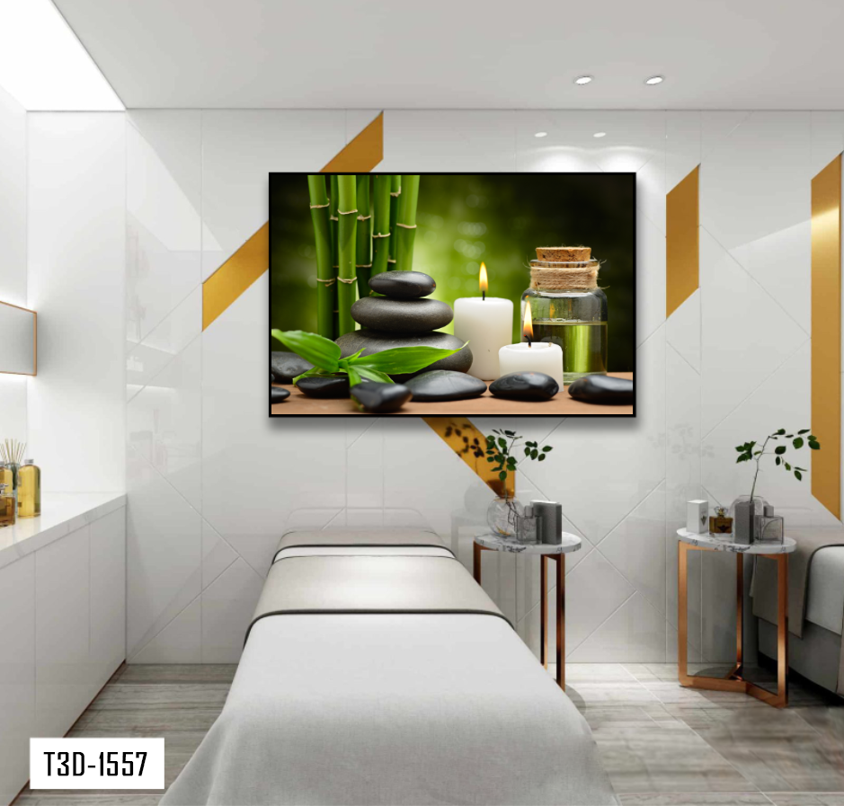TRANH TREO TƯỜNG KHUNG HỢP KIM - TRANH SPA - MÃ T3D-1557