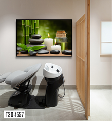 TRANH TREO TƯỜNG KHUNG HỢP KIM - TRANH SPA - MÃ T3D-1557