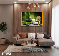 TRANH TREO TƯỜNG KHUNG HỢP KIM - TRANH SPA - MÃ T3D-1557