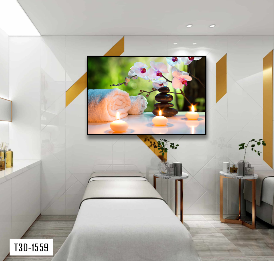 TRANH TREO TƯỜNG KHUNG HỢP KIM - TRANH SPA - MÃ T3D-1559
