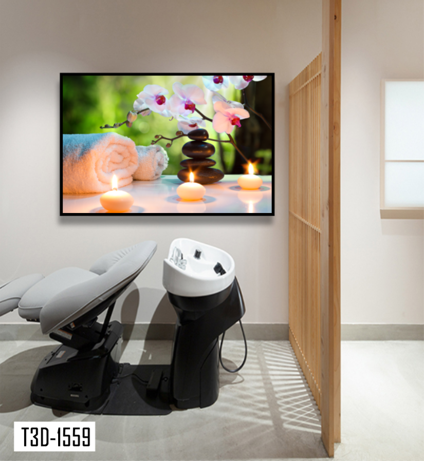 TRANH TREO TƯỜNG KHUNG HỢP KIM - TRANH SPA - MÃ T3D-1559