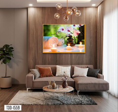 TRANH TREO TƯỜNG KHUNG HỢP KIM - TRANH SPA - MÃ T3D-1559