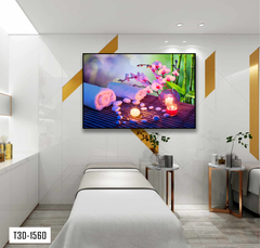 TRANH TREO TƯỜNG KHUNG HỢP KIM - TRANH SPA - MÃ T3D-1560