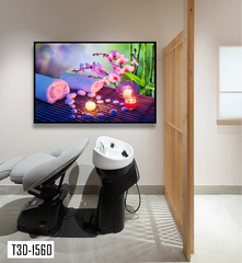 TRANH TREO TƯỜNG KHUNG HỢP KIM - TRANH SPA - MÃ T3D-1560