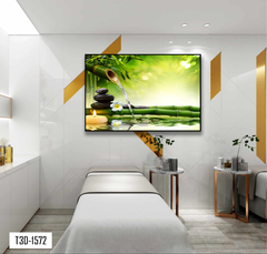 TRANH TREO TƯỜNG KHUNG HỢP KIM - TRANH SPA - MÃ T3D-1572