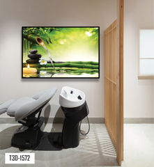 TRANH TREO TƯỜNG KHUNG HỢP KIM - TRANH SPA - MÃ T3D-1572