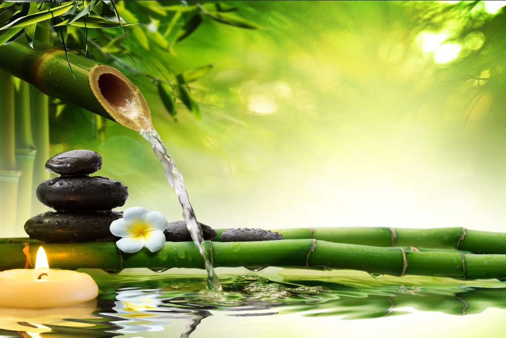 TRANH TREO TƯỜNG KHUNG HỢP KIM - TRANH SPA - MÃ T3D-1572