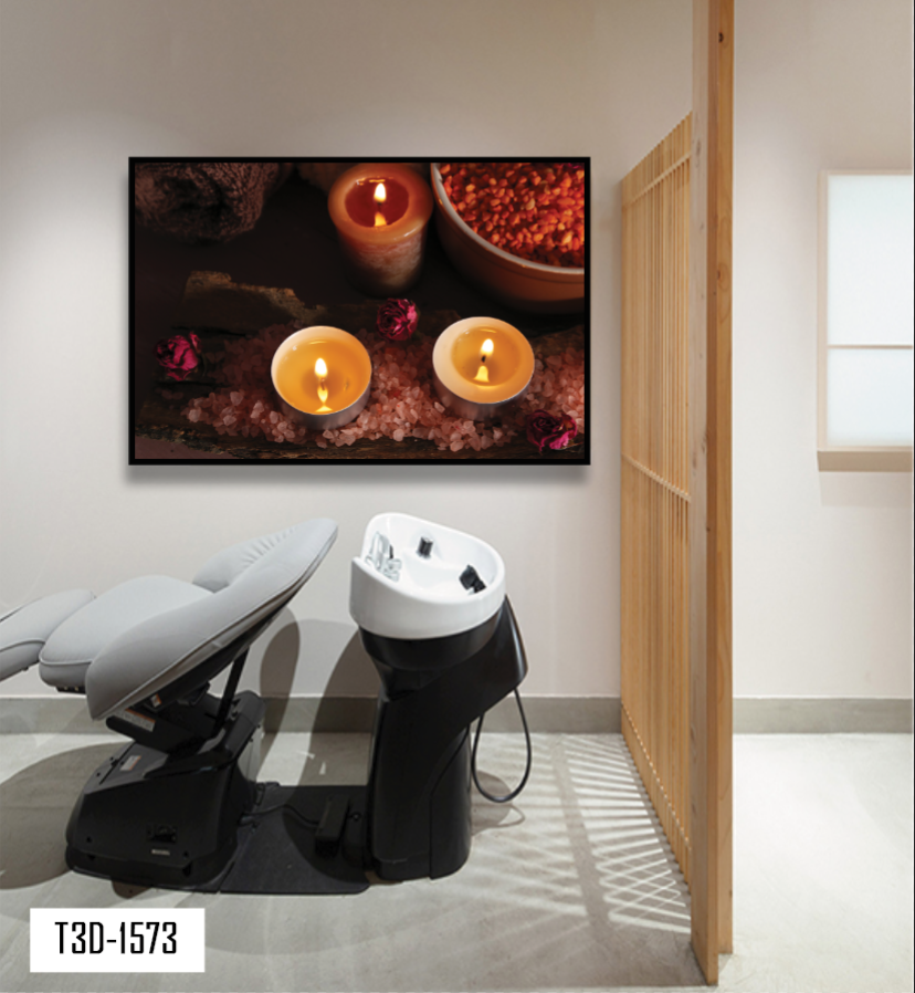 TRANH TREO TƯỜNG KHUNG HỢP KIM - TRANH SPA - MÃ T3D-1573
