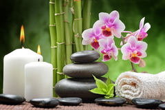 TRANH TREO TƯỜNG KHUNG HỢP KIM - TRANH SPA - MÃ T3D-1574