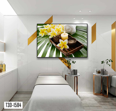 TRANH TREO TƯỜNG KHUNG HỢP KIM - TRANH SPA - MÃ T3D-1584