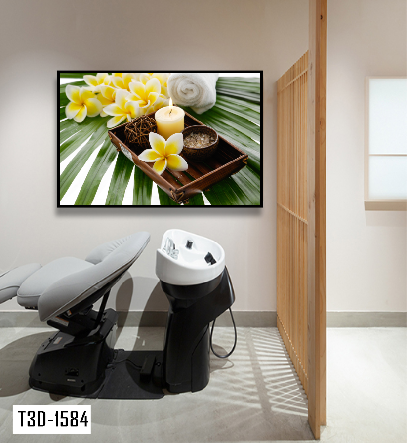 TRANH TREO TƯỜNG KHUNG HỢP KIM - TRANH SPA - MÃ T3D-1584