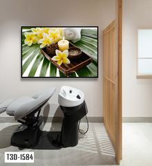TRANH TREO TƯỜNG KHUNG HỢP KIM - TRANH SPA - MÃ T3D-1584