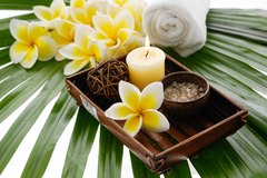 TRANH TREO TƯỜNG KHUNG HỢP KIM - TRANH SPA - MÃ T3D-1584