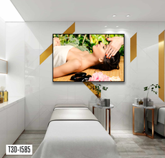 TRANH TREO TƯỜNG KHUNG HỢP KIM - TRANH SPA - MÃ T3D-1585