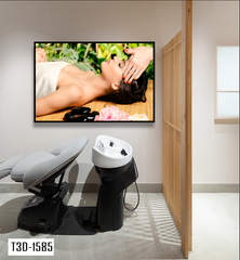 TRANH TREO TƯỜNG KHUNG HỢP KIM - TRANH SPA - MÃ T3D-1585