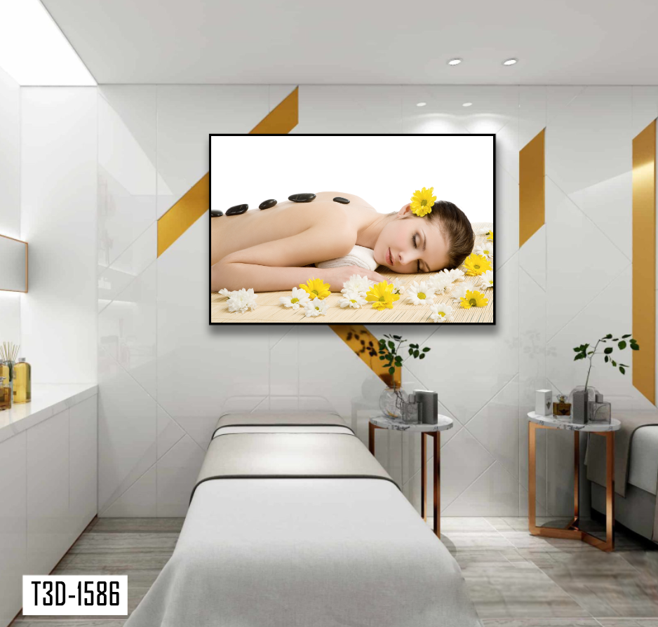 TRANH TREO TƯỜNG KHUNG HỢP KIM - TRANH SPA - MÃ T3D-1586