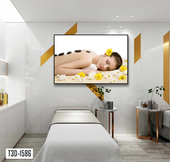 TRANH TREO TƯỜNG KHUNG HỢP KIM - TRANH SPA - MÃ T3D-1586