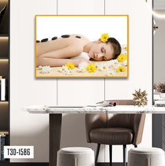 TRANH TREO TƯỜNG KHUNG HỢP KIM - TRANH SPA - MÃ T3D-1586