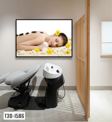 TRANH TREO TƯỜNG KHUNG HỢP KIM - TRANH SPA - MÃ T3D-1586