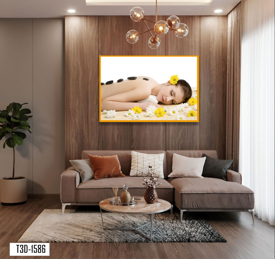 TRANH TREO TƯỜNG KHUNG HỢP KIM - TRANH SPA - MÃ T3D-1586