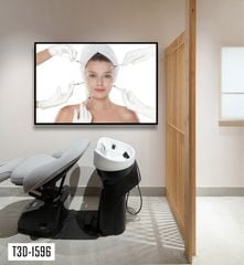 TRANH TREO TƯỜNG KHUNG HỢP KIM - TRANH SPA - MÃ T3D-1596