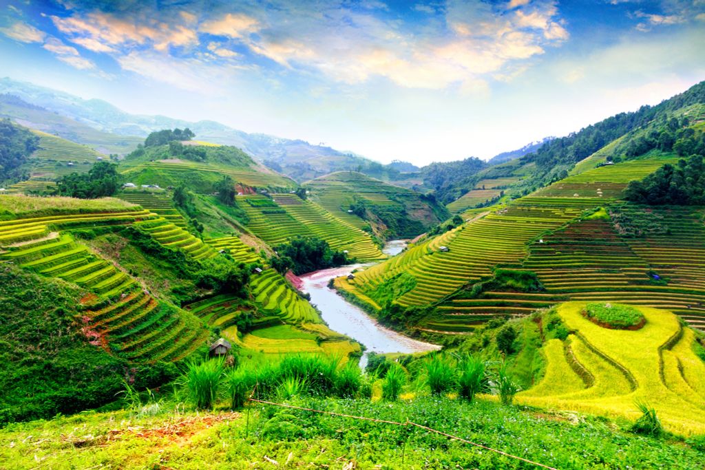 195 - TRANH TREO TƯỜNG PHÒNG KHÁCH, SAU SOFA - TRANH TREO PHONG CẢNH ĐỒNG QUÊ | T3D-1837