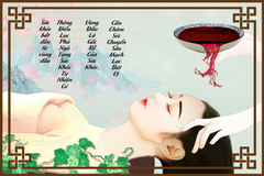 TRANH TREO TƯỜNG KHUNG HỢP KIM - TRANH SPA - MÃ T3D-1852