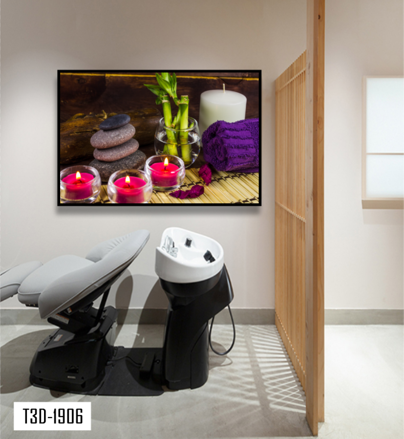 TRANH TREO TƯỜNG KHUNG HỢP KIM - TRANH SPA - MÃ T3D-1906