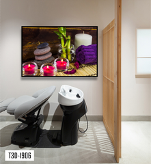 TRANH TREO TƯỜNG KHUNG HỢP KIM - TRANH SPA - MÃ T3D-1906
