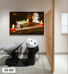 TRANH TREO TƯỜNG KHUNG HỢP KIM - TRANH SPA - MÃ T3D-1907