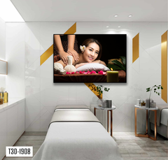 TRANH TREO TƯỜNG KHUNG HỢP KIM - TRANH SPA - MÃ T3D-1908