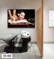 TRANH TREO TƯỜNG KHUNG HỢP KIM - TRANH SPA - MÃ T3D-1908