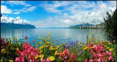 TRANH TREO PHÒNG KHÁCH - TRANH PHONG CẢNH THIÊN NHIÊN - KHỔ LỚN | MÃ T3D-1915