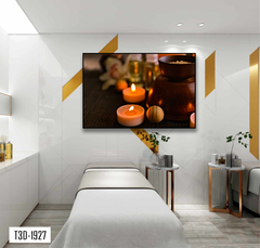 TRANH TREO TƯỜNG KHUNG HỢP KIM - TRANH SPA - MÃ T3D-1927