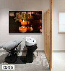 TRANH TREO TƯỜNG KHUNG HỢP KIM - TRANH SPA - MÃ T3D-1927