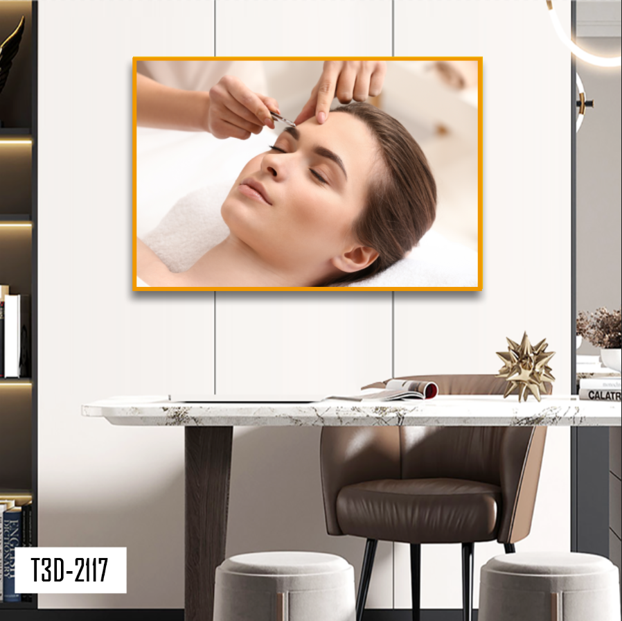 TRANH TREO TƯỜNG KHUNG HỢP KIM - TRANH SPA - MÃ T3D-2117