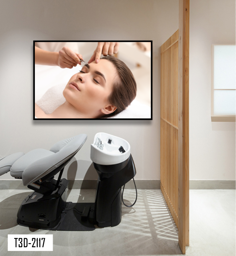 TRANH TREO TƯỜNG KHUNG HỢP KIM - TRANH SPA - MÃ T3D-2117