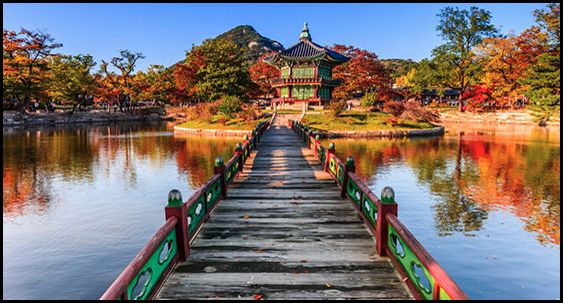 TRANH TREO PHÒNG KHÁCH - TRANH PHONG CẢNH THIÊN NHIÊN - KHỔ LỚN | MÃ T3D-264