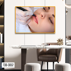 TRANH TREO TƯỜNG KHUNG HỢP KIM - TRANH SPA - MÃ T3D-3052