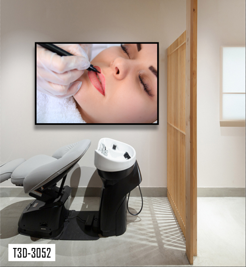 TRANH TREO TƯỜNG KHUNG HỢP KIM - TRANH SPA - MÃ T3D-3052