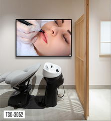 TRANH TREO TƯỜNG KHUNG HỢP KIM - TRANH SPA - MÃ T3D-3052
