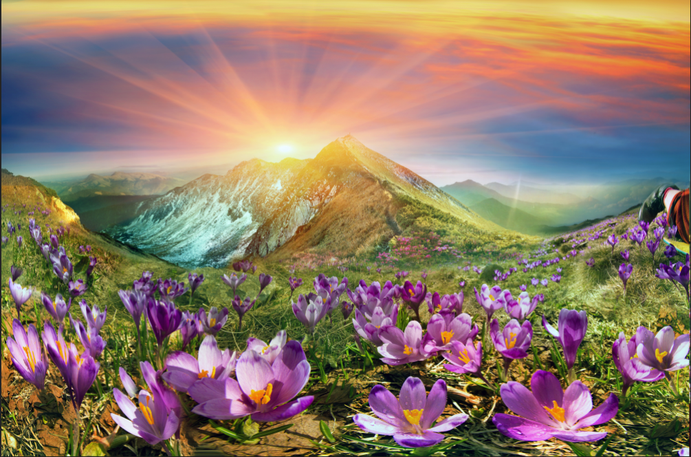 197 - TRANH TREO TƯỜNG PHÒNG KHÁCH, SAU SOFA - TRANH TREO PHONG CẢNH ĐỒNG QUÊ | T3D-3802